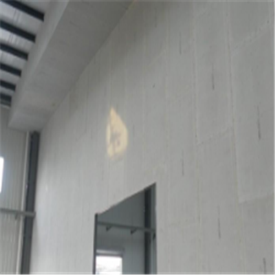 雅安新型建筑材料掺多种工业废渣的ALC|ACC|FPS模块板材轻质隔墙板